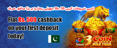 100% ویلکم بونس promotion